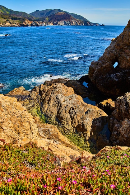 Spring flowers in foreground with cliffs and ocean waves meeting