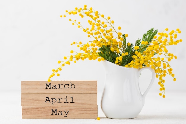 Spring flowers and months