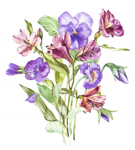 Spring flowers Pansy and Alstroemeria treelooking at shelves Watercolor hand drawn illustration.