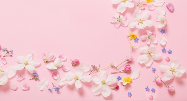 Spring flowers on pink background