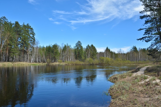 Spring on the forest river