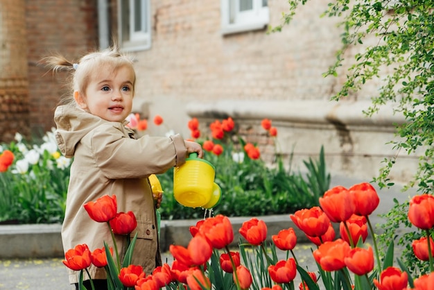 Spring gardening cute toddler little girl in raincoat watering red tulips flowers in the spring