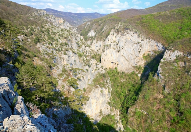 Spring Great Crimean Canyon mountain view and pine trees on slope (Crimea, Ukraine).