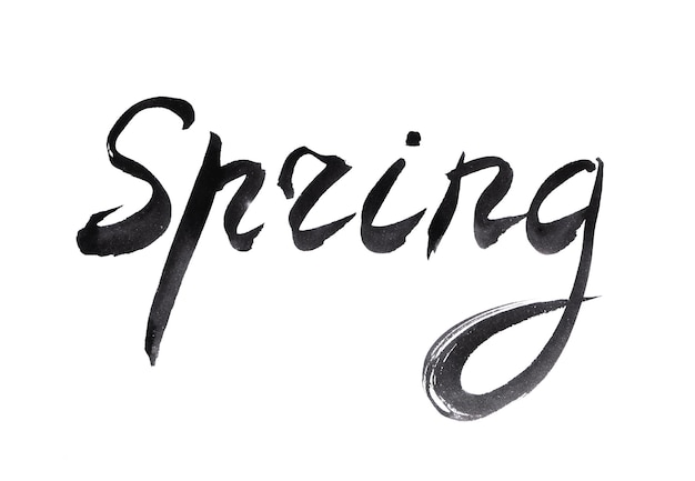 Spring hand drawn word