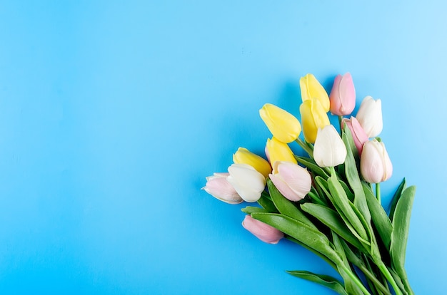 Spring or holiday concept, a bouquet of tulips on blue background.