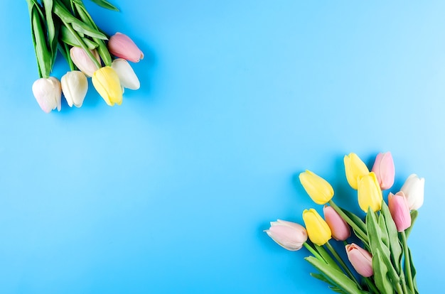 Spring or holiday concept, a bouquet of tulips on blue background