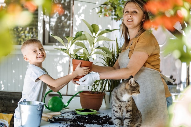 Spring houseplant care repotting houseplants happy family mom and kid boy planting houseplants in