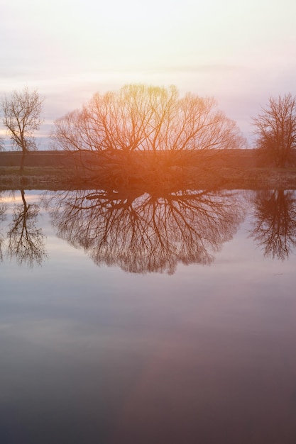 Spring landscape in early spring River trees reflection in the water