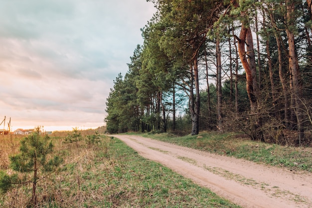 Photo spring landscape of forest path on sunset in belarus.