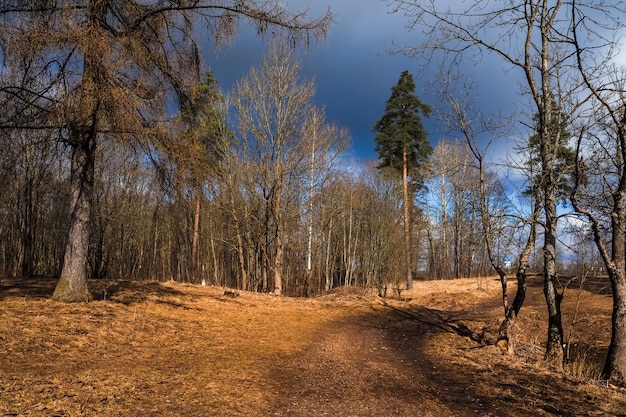 Spring landscape at the Park in April.