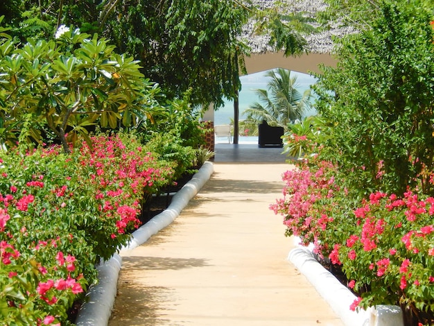 Spring landscape with colorful flowers next to the sea