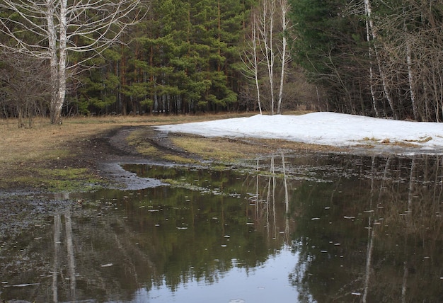 Spring landscape with melting snow