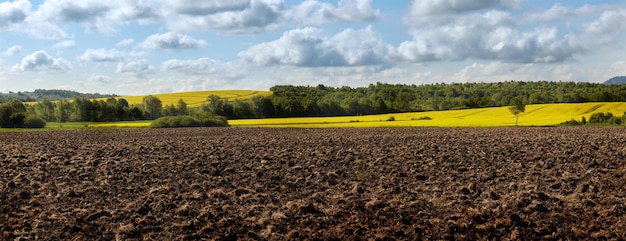 Spring Landscape with Plowed Field on the Background of Beautiful Blue Sky Ploughed Soil Agriculture Concept Copy Space