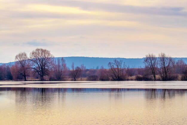 Spring landscape with trees by the river during sunset