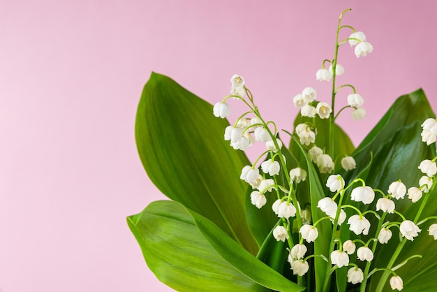 Spring lily of the valley flowers on pink background Wedding or holiday concept