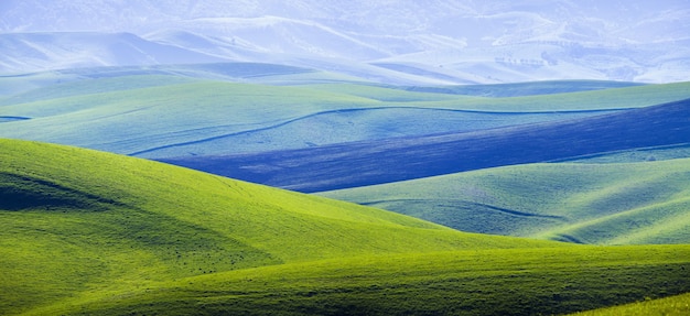 Spring meadows and hills in the evening light