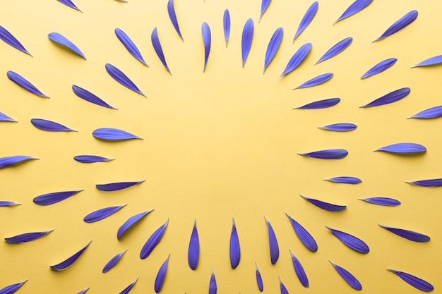 Spring mockup of purple flower petals on a yellow background. Top view.