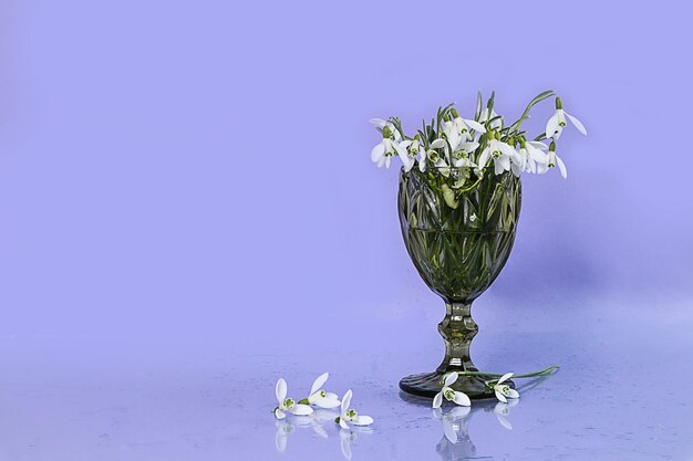 Spring mood a bouquet of snowdrops in a green glass on a pastel background