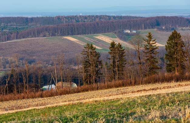 Spring morning arable and growth fields and countryside