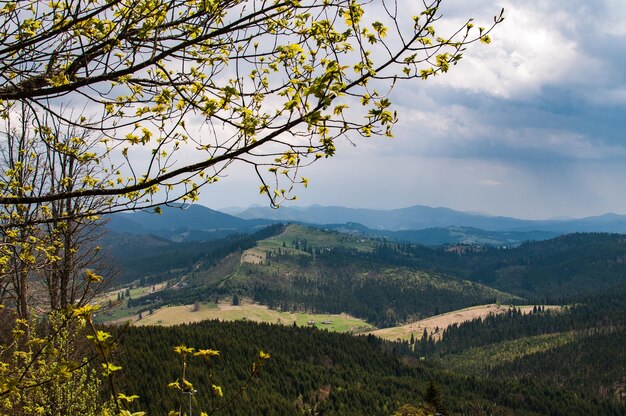 Spring mountain landscape in the Carpathians