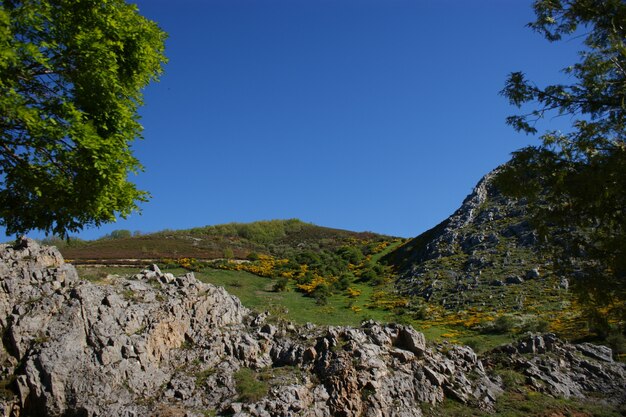 Spring mountain landscape