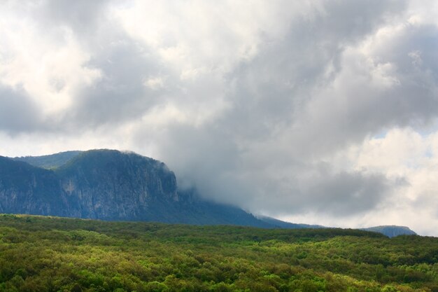 Spring mountain landscape