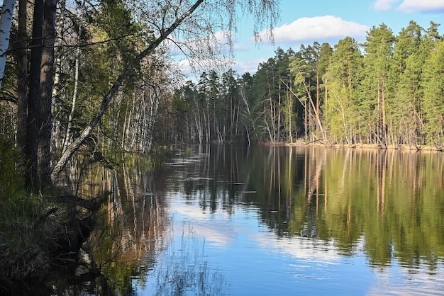 Spring in the national park