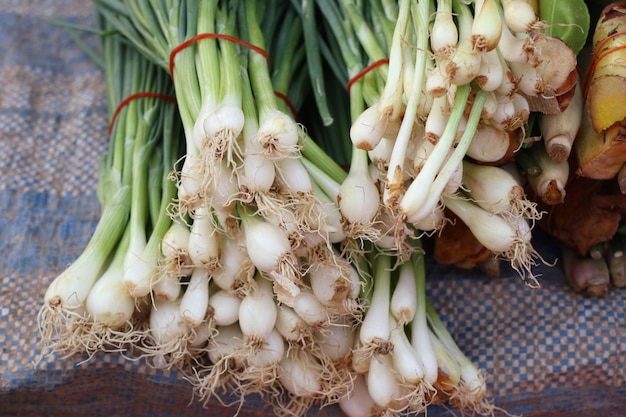 Spring onion flower at market