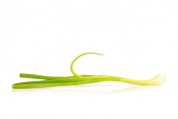 Spring onion isolated on the white background