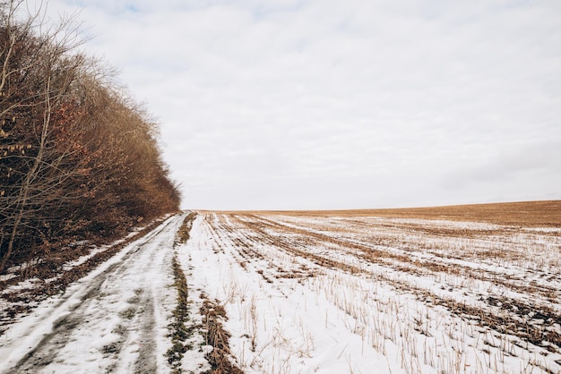 Spring Plowed Field Partly Covered Winter Melting Snow Ready For New Season Ploughed Field In Early Spring Farm Agricultural Landscape Under Scenic Cloudy Sky Spring Plowed Field Partly Covered