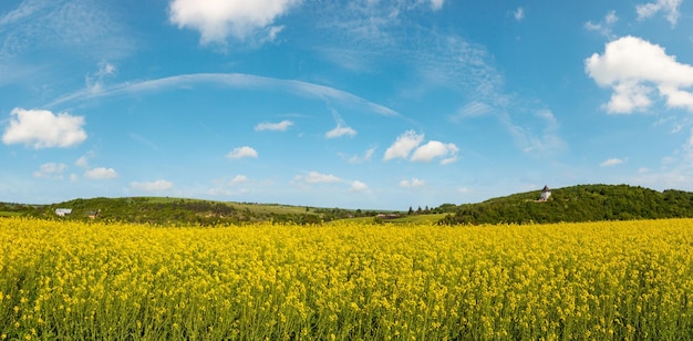 Spring rapeseed yellow blooming fields view blue sky with clouds in sunlight panorama Pyatnychany tower defense structure 15th century on far hill slope