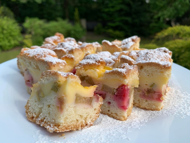 Spring rhubarb cake sprinkled with powdered sugar