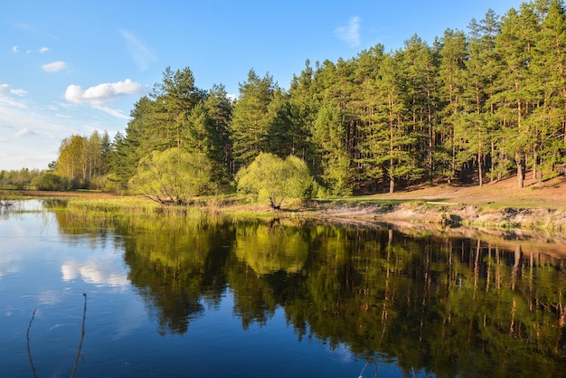 Spring river in the national Park Meshersky Ryazan region