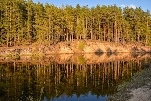 Spring river in the national Park Meshersky Ryazan region