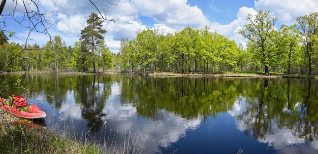 Spring river panorama