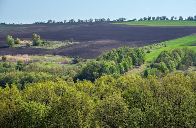 Spring rural landscape with fields farmlands village outskirts flowering trees hilly meadows Chernivtsi region Ukraine