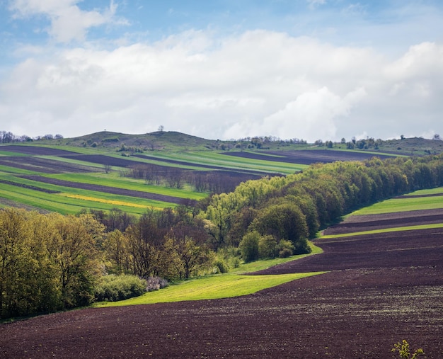 Spring rural landscape with fields farmlands village outskirts flowering trees hilly meadows Chernivtsi region Ukraine