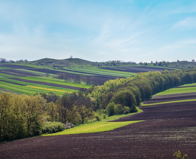 Spring rural landscape with fields farmlands village outskirts flowering trees hilly meadows Chernivtsi region Ukraine