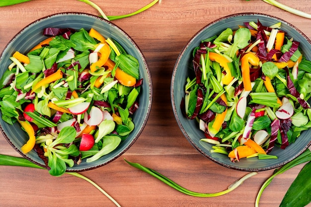 Spring salad with pepper radishes chicory and ramson