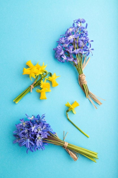 Spring snowdrop flowers bluebells narcissus on blue pastel background top view close up