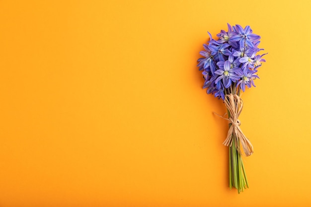 Spring snowdrop flowers bluebells on orange pastel background top view copy space