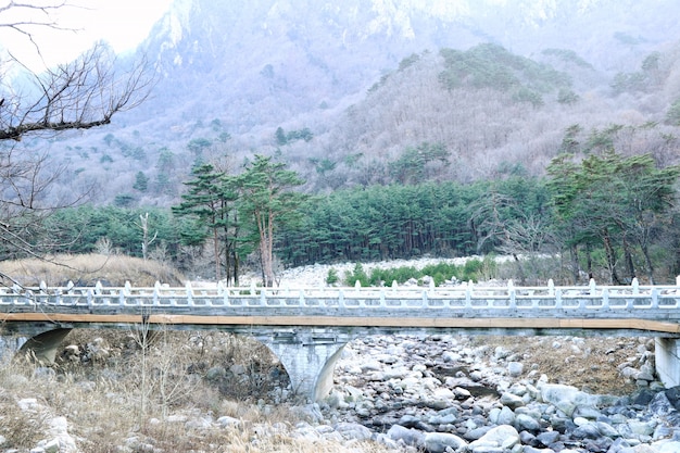 Spring in South Korea