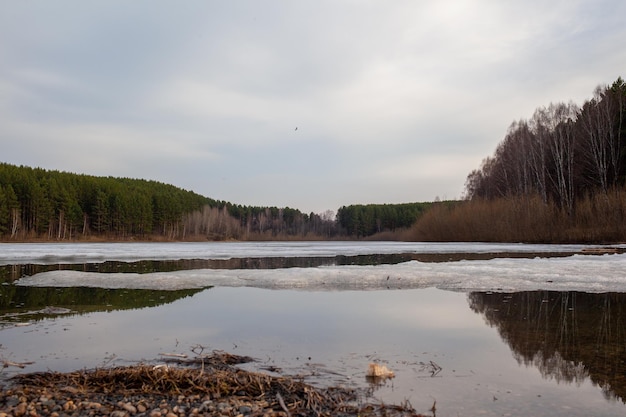 Spring streams in nature. The snow melts and clear streams run. Nature against lakes the and forests