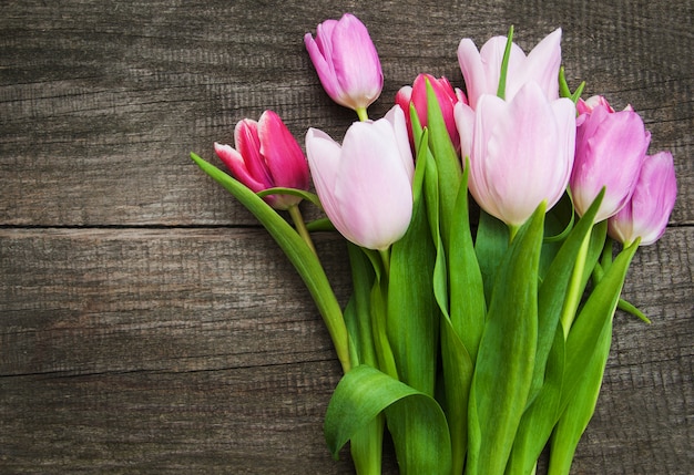 Spring tulip flowers