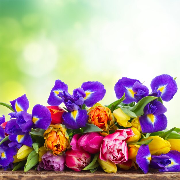 Spring tulips and irises