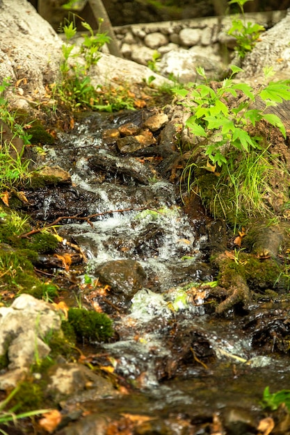 Spring water flows over rocks