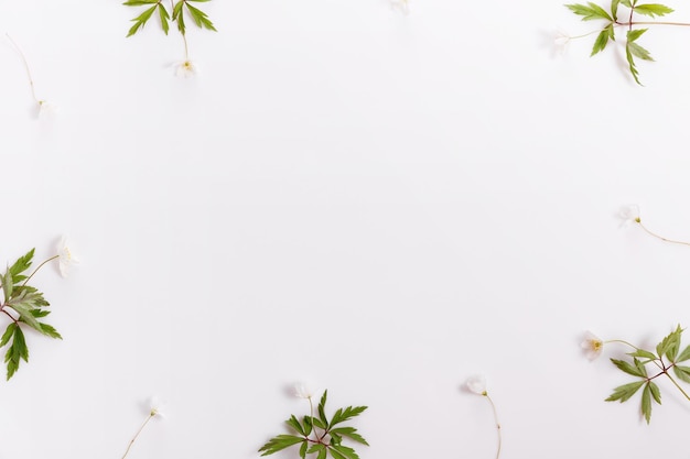 Spring white flowers arranged on bright background Flat lay