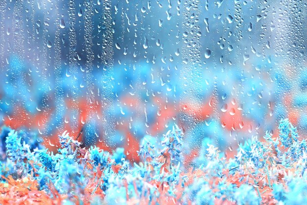 spring wild flowers rain drops abstract background