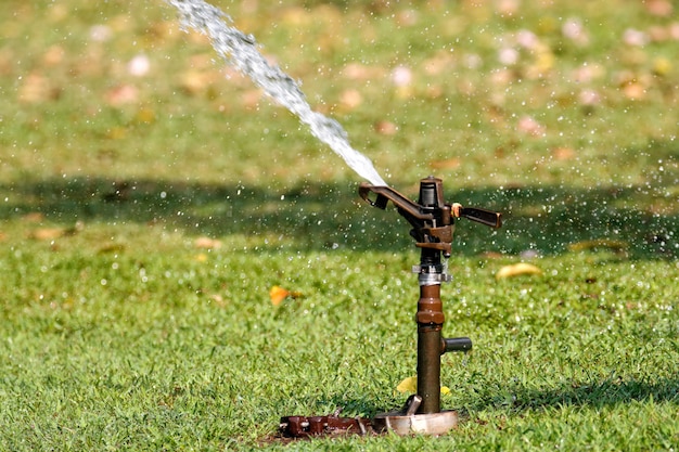 Springer is doing Watering plants and lawns in the garden