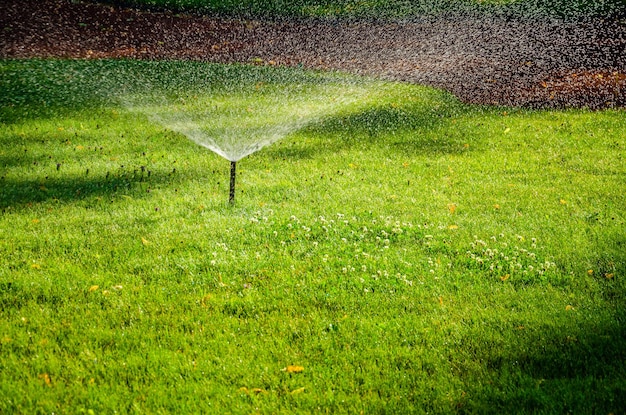 Sprinkler on a green lawn in summer.